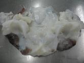 GIANT SQUID NECKS